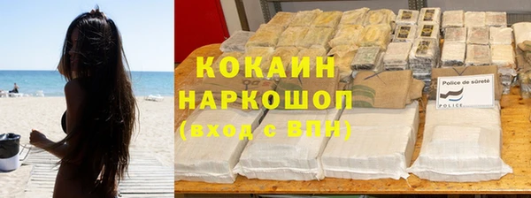 стафф Бородино