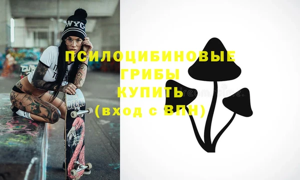 стафф Бородино