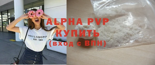 стафф Бородино
