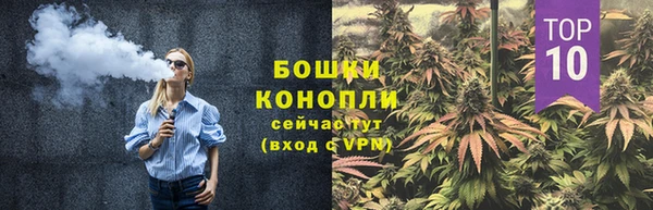 стафф Бородино