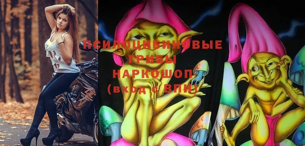 стафф Бородино