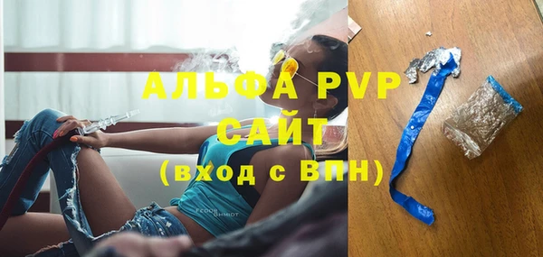 стафф Бородино